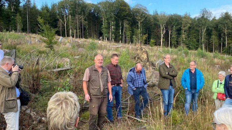 Waldbegehung des Mescheder Stadtwaldes